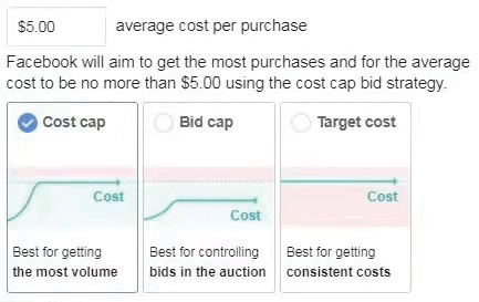 图9-14　Facebook广告智能投放的几种出价模式